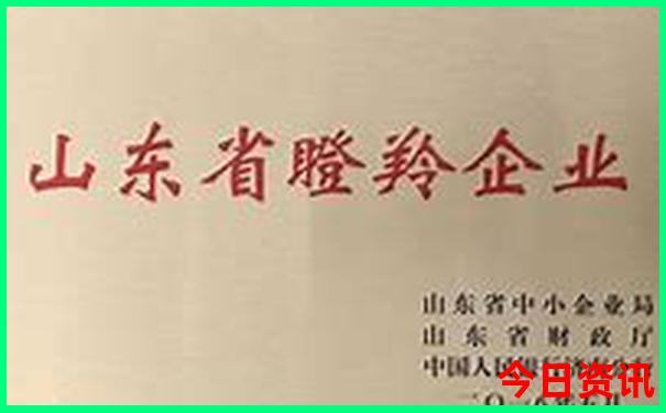 韶关有什么好玩的地方旅游景点